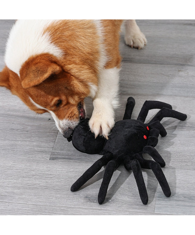 Spider Interactive Nosework Toy