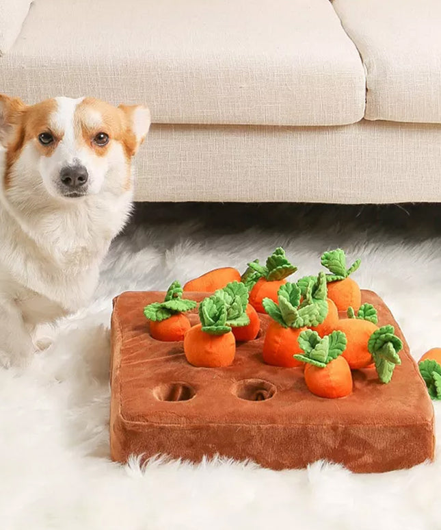 Carrot Crop Interactive Nosework Dog Toy