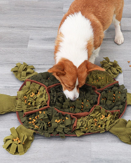 Large Tortoise Nosework Snuffle Mat