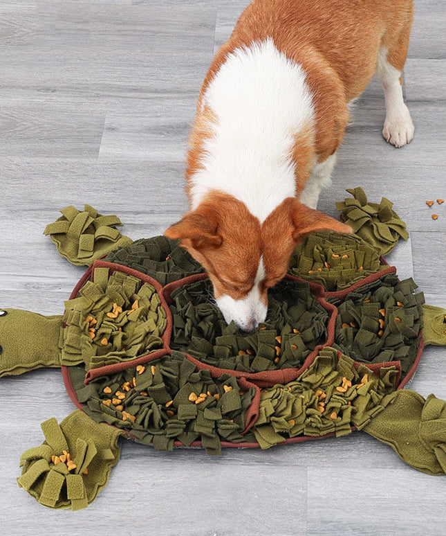 Large Tortoise Nosework Snuffle Mat