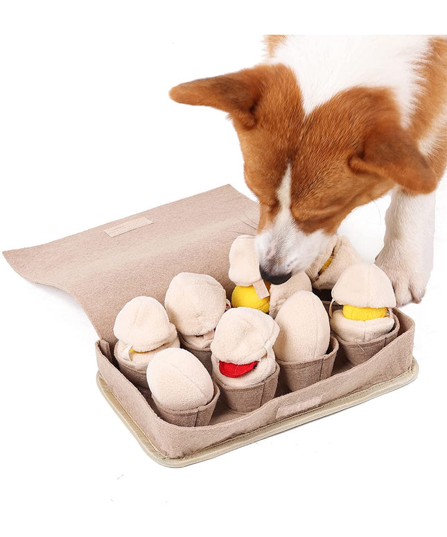 Egg Carton Interactive Nosework Dog Toy