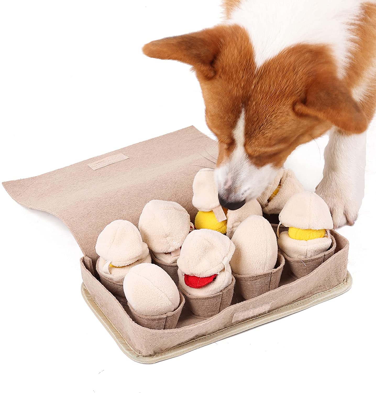 Egg Carton Interactive Nosework Dog Toy