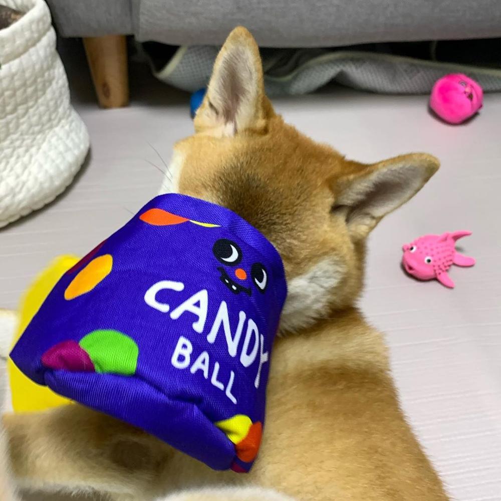 Candy Bucket Interactive Dog Toy
