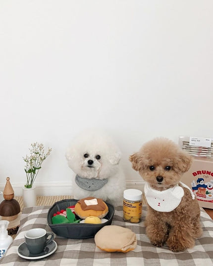Breakfast Food Interactive Dog Toy