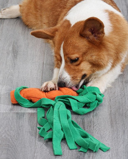 Carrot Interactive Nosework Dog Toy