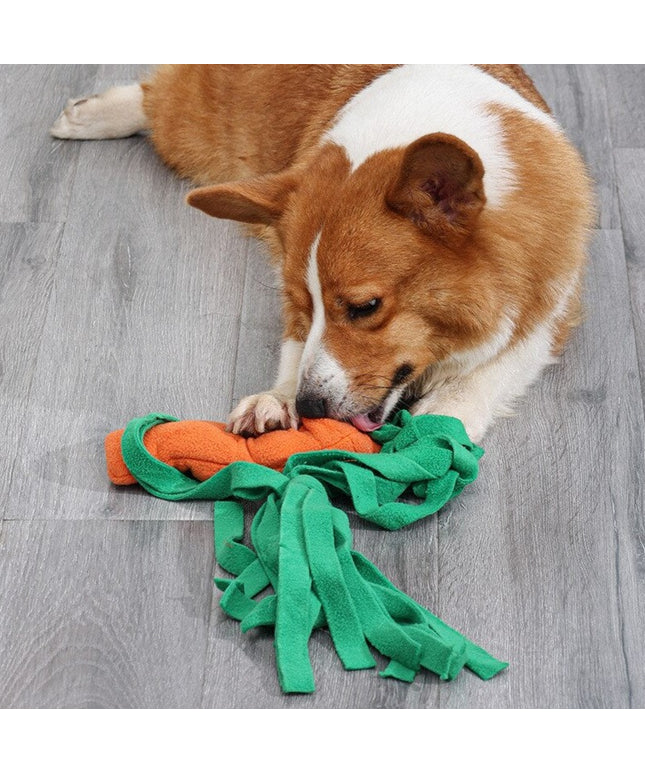 Carrot Interactive Nosework Dog Toy