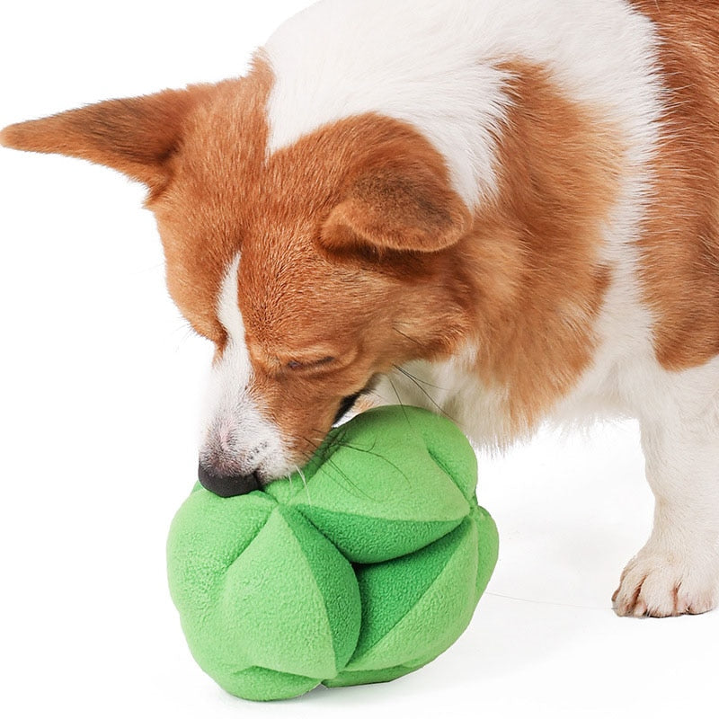 Squeaky broccoli dog clearance toy