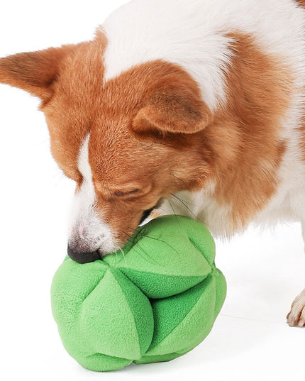 Broccoli Interactive Dog Toy