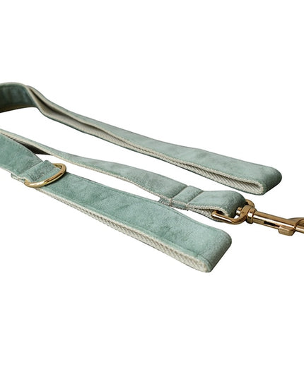 Mint Green Leash