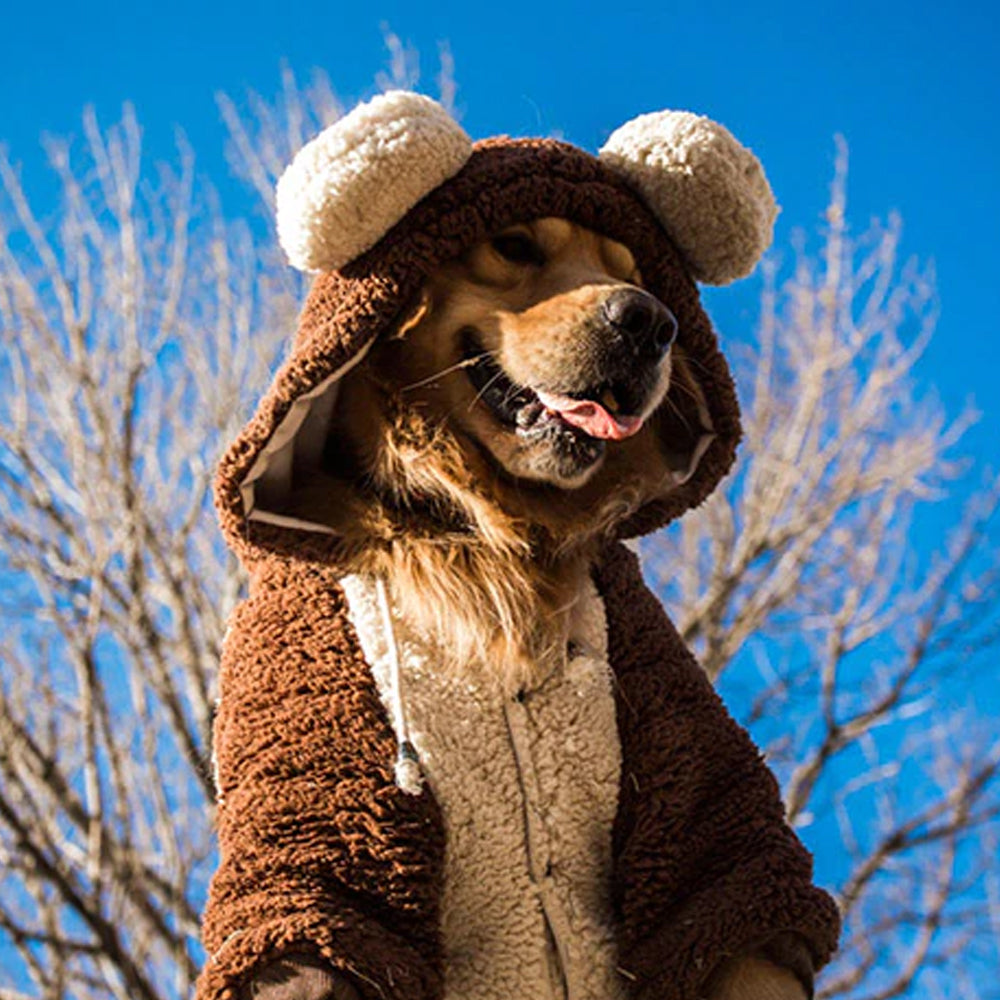 Large dog shop teddy bear costume