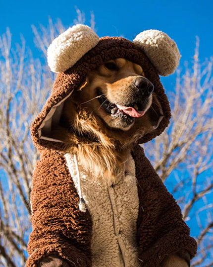 Teddy Bear Wool Hoodie for Medium Large Dogs