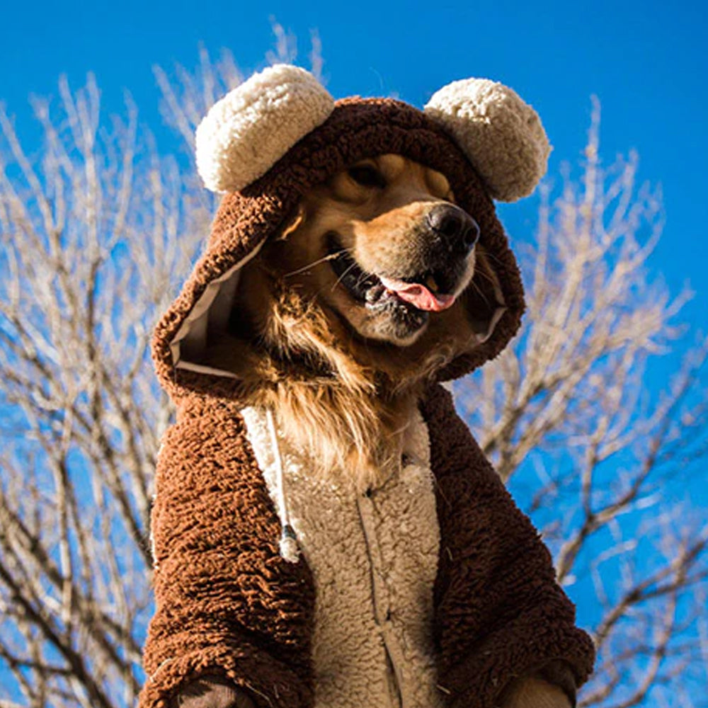 Teddy Bear Wool Hoodie for Medium Large Dogs