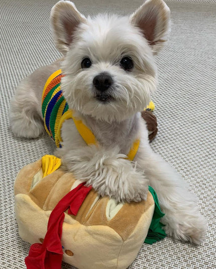 Bread Loaf Nosework Dog Toy