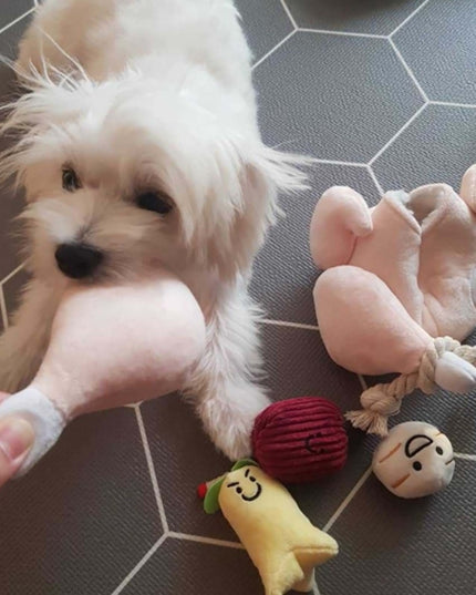 Stuffed Chicken Interactive Dog Toy Set