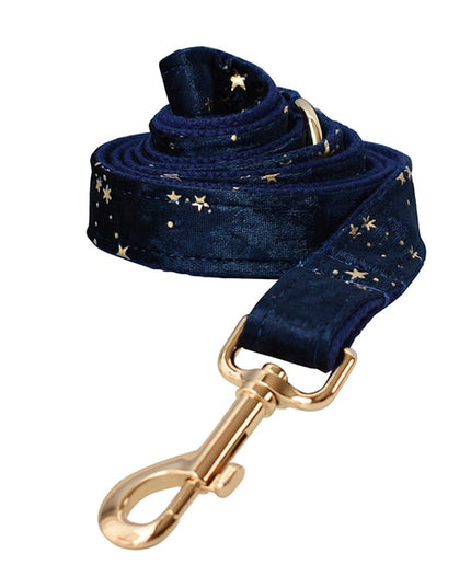Navy Blue & Gold Stars Leash