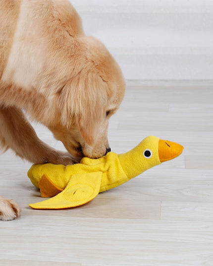 Duck Nosework Dog Toy