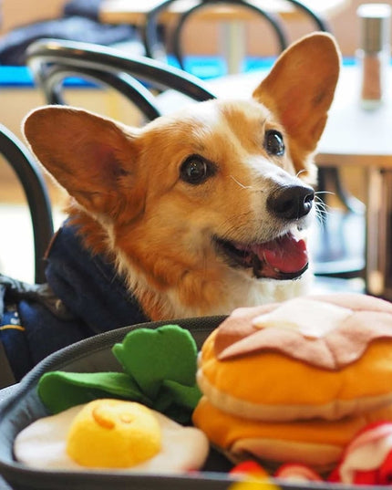 Breakfast Food Interactive Dog Toy