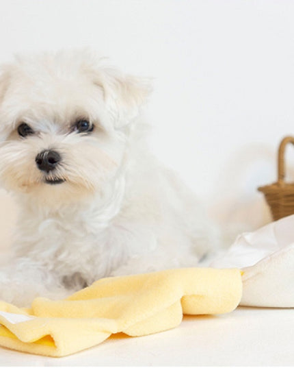 Banana Interactive Nosework Dog Toy