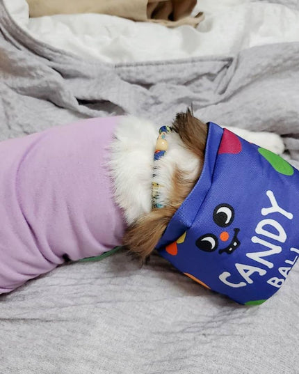 Candy Bucket Interactive Dog Toy