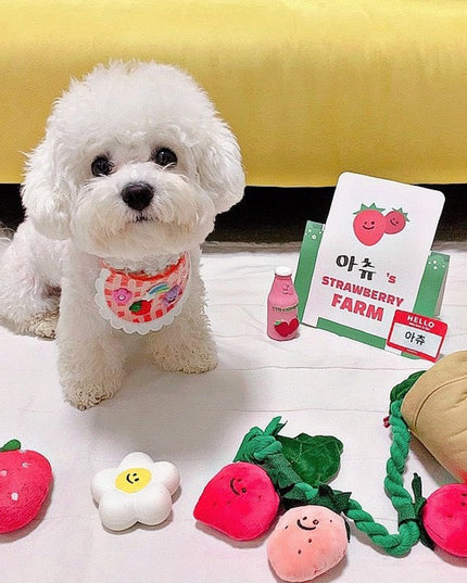 Strawberry Flower Pot Interactive Dog Toy