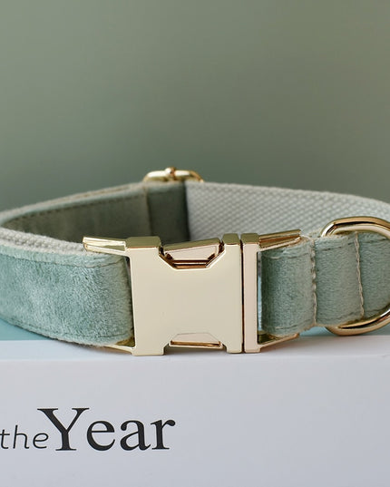 Mint Green Personalized Bow Tie Collar