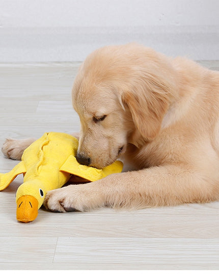 Duck Nosework Dog Toy