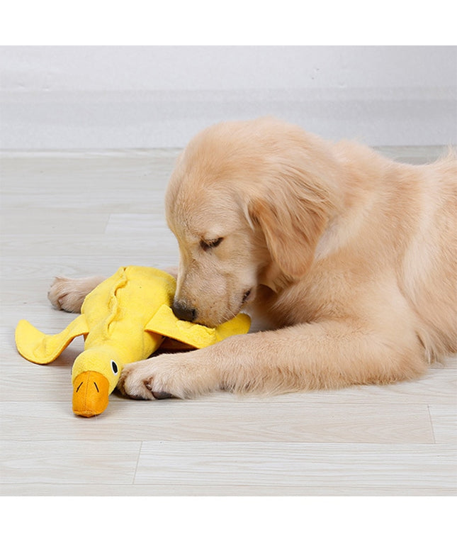 Duck Nosework Dog Toy