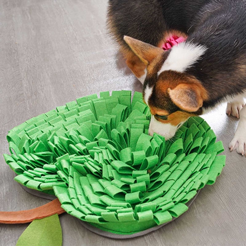 Apple Nosework Snuffle Mat