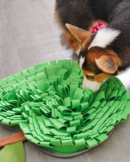 Apple Nosework Snuffle Mat