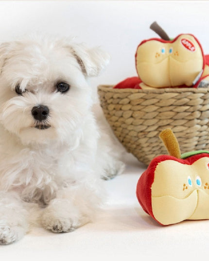 Apple Interactive Nosework Dog Toy