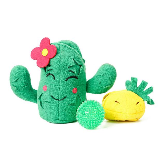 Cactus Interactive Nosework Dog Toy