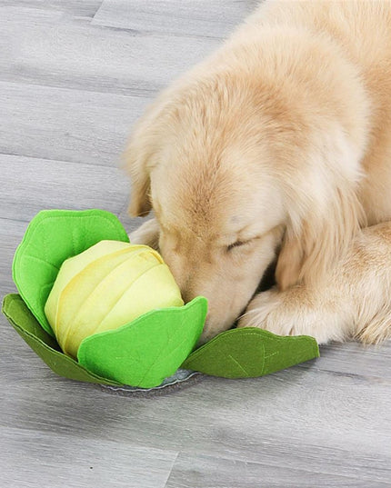Cabbage Interactive Nosework Toy