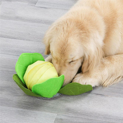 Cabbage Interactive Nosework Toy