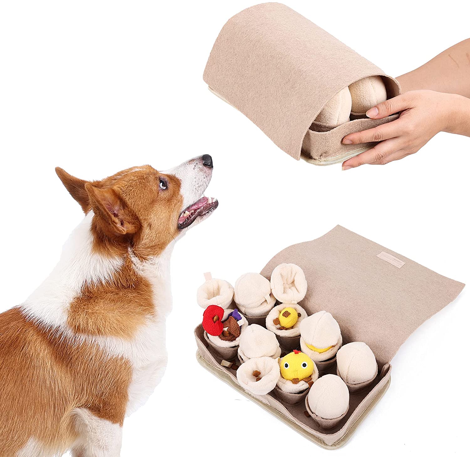 Egg carton dog store toy