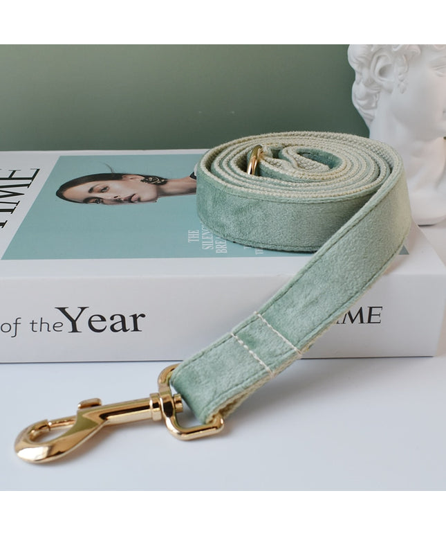 Mint Green Leash