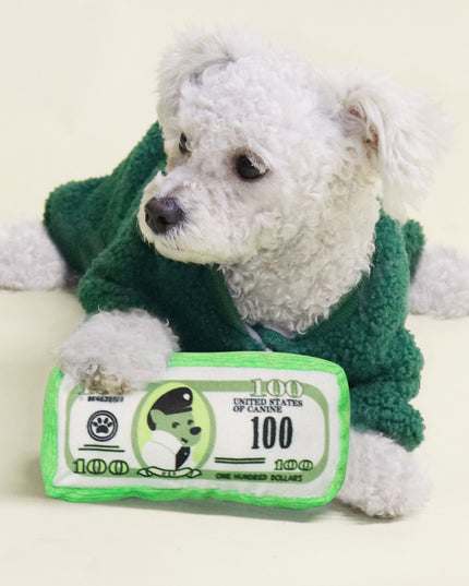 Money Stack Squeaky Plush Dog Toy