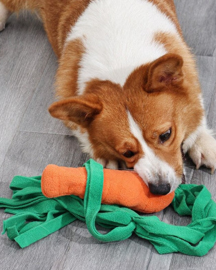 Carrot Interactive Nosework Dog Toy