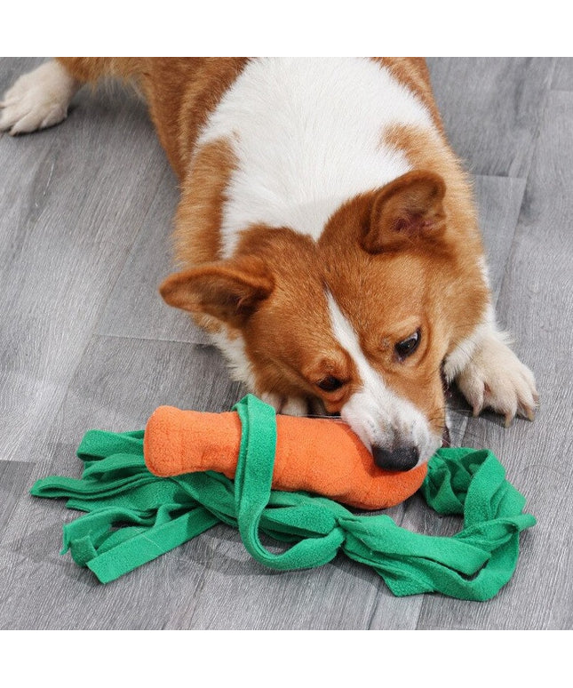 Carrot Interactive Nosework Dog Toy