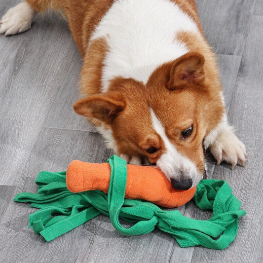 Carrot Interactive Nosework Dog Toy