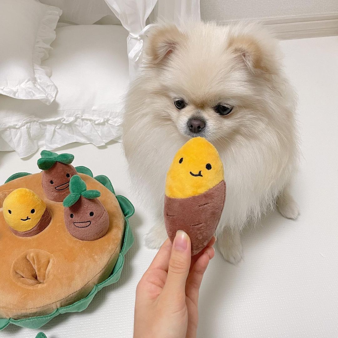 Sweet Potato Crop Interactive Dog Toy
