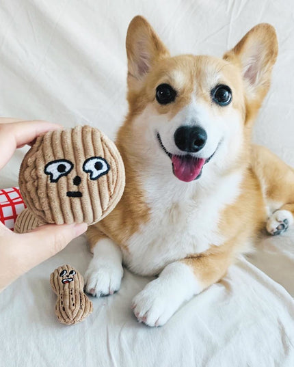 Walnut Peanut Bag Interactive Dog Toy