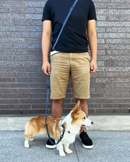 Hands-Free Adjustable Waterproof Dog Leash