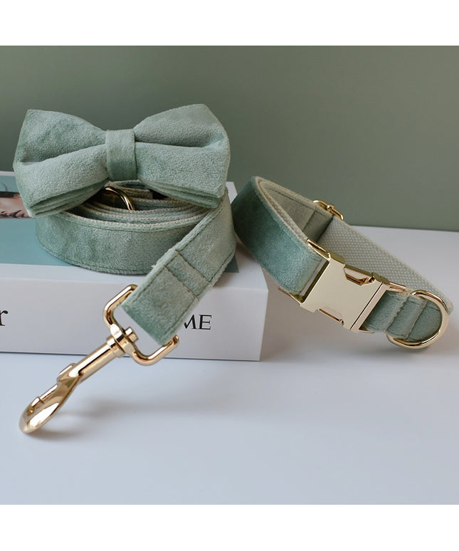 Mint Green Leash