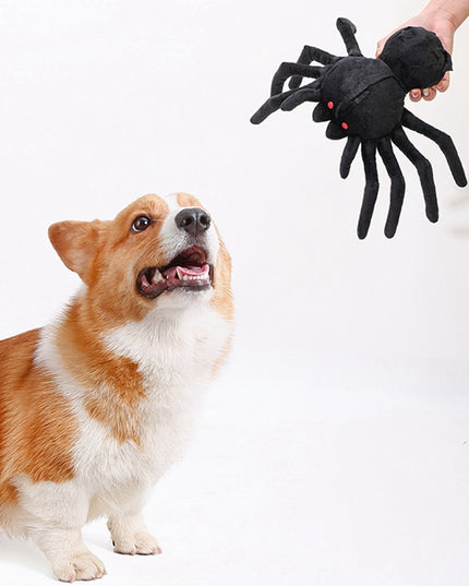 Spider Interactive Nosework Toy